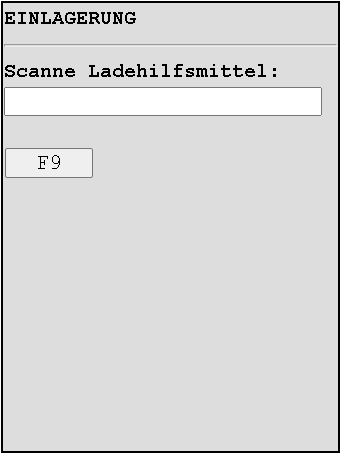 Ladehilfsmittel scannen